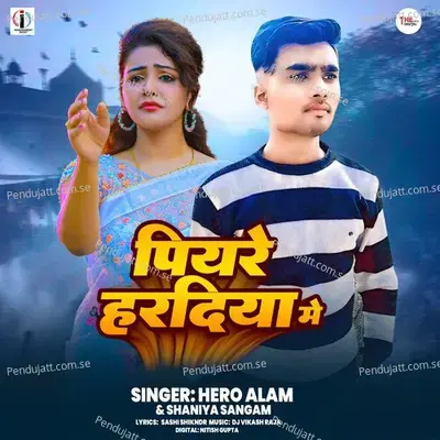 Piyare Haradiya Me - Hero Alam album cover 