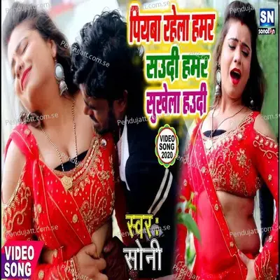 Piyava Rahela Hamar Saudi Hamar Sukhela Haudi - Sona Singh album cover 