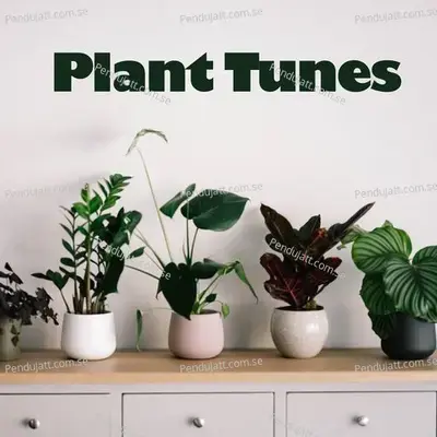 Plant Life - Owl City album cover 