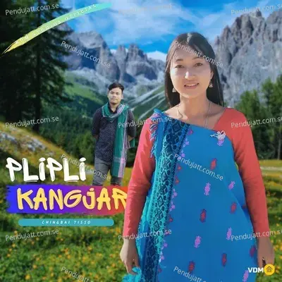 Plipli Kangjar - Chingbai Tisso album cover 