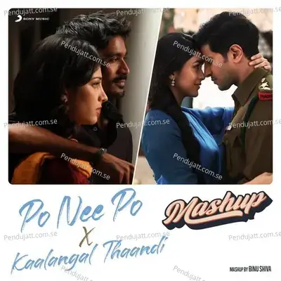 Po Nee Po X Kaalangal Thaandi - Binu Shiva album cover 