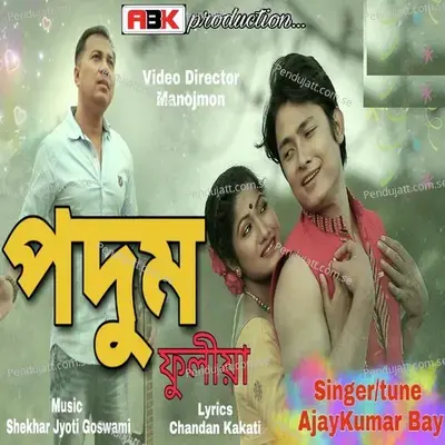 Podum - Ajay Kumar Bay album cover 