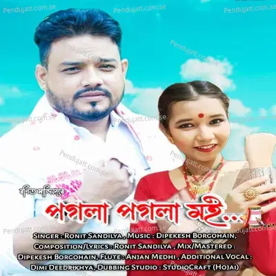 Pogola Pogola Moi - Ronit Sandilya album cover 