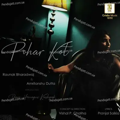 Pohar Kot - Raunak Bharadwaj album cover 