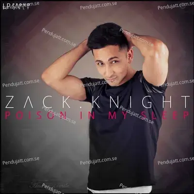 Beast In Me - Zack Knight album cover 