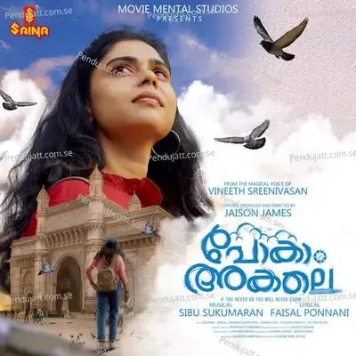 Pokam Akale - Vineeth Sreenivasan album cover 