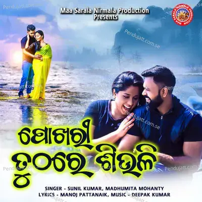 Pokhari Tuthare Siuli - Sunil Kumar album cover 