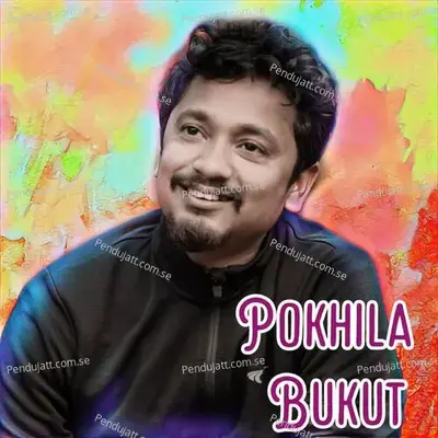 Pokhila Bukut - Deeg Diganta album cover 