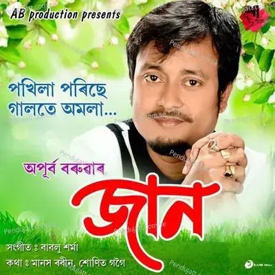 Pokhila Porise - Apurba Jaan album cover 