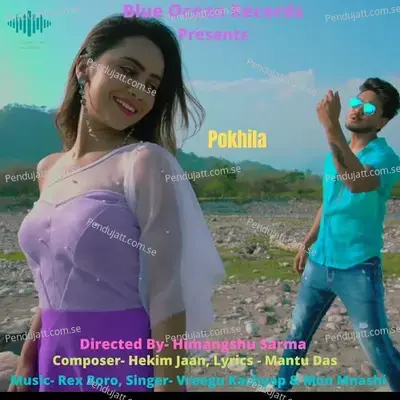 Pokhila - Vreegu Kashyap album cover 