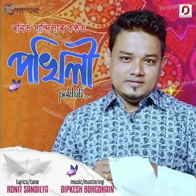 Pokhili - Ronit Sandilya album cover 