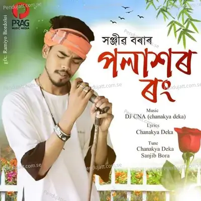 Polaxor Rong - Sanjib Bora album cover 