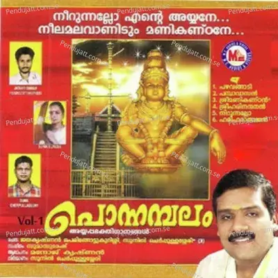 Pamba Vaasa - Manoj Krishnan album cover 