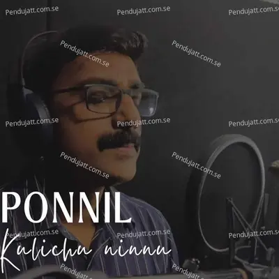 Ponnil Kulichu Ninnu - Sreejit Somanathan album cover 