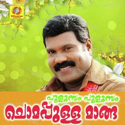 Pooluma Pooluma Chumappulla Manga - Kalabhavan Mani album cover 