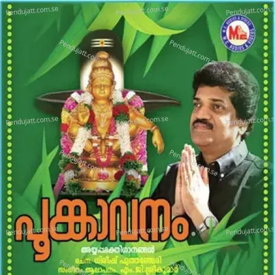 Ayyappathinthakam Pettathulli - Gireesh Puthenchery album cover 