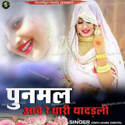 Poonmal Aave Re Thari Yadaldi - Papu Khan Dantal album cover 