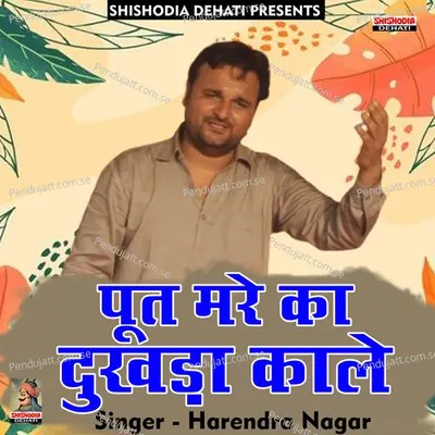 Poot Mare Ka Dukhda Kale - Harendra Nagar album cover 