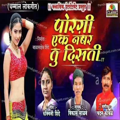 Porgi Ek Number Tu Disati - Vikas Salve album cover 