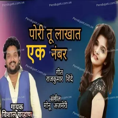 Pori Tu Lakhat Ak Numbar - Vishal Chavan album cover 