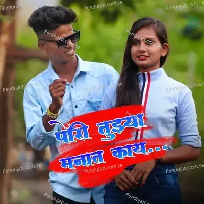Pori Tuzya Manat Kay - Roshan Ravte album cover 