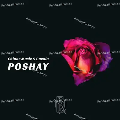 Poshay - Chinar Music album cover 
