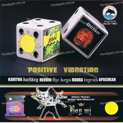 Positive Vibration - Remixed by Boy MJ cover album