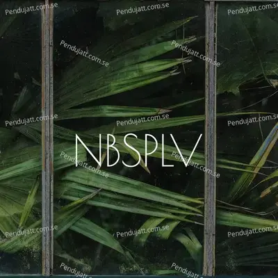 Possession - NBSPLV album cover 