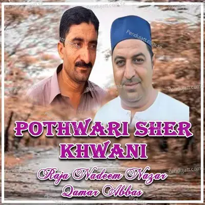 Pothwari Sher Khwani - Raja Nadeem Nazar album cover 