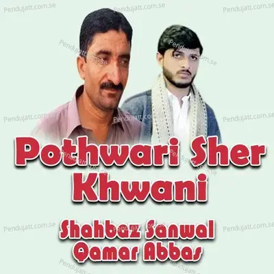 Pothwari Sher Khwani - Shahbaz Sanwal album cover 