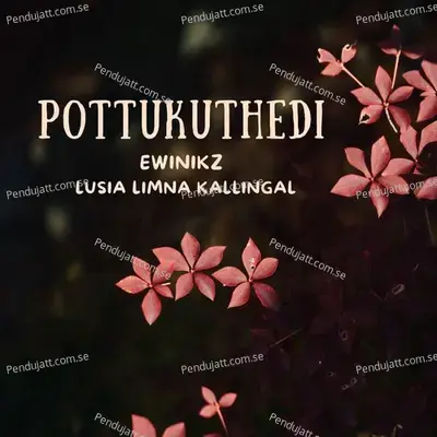 Pottukuthedi - Ewinikz album cover 