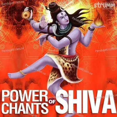 Om Namah Shivay - Om Voices album cover 