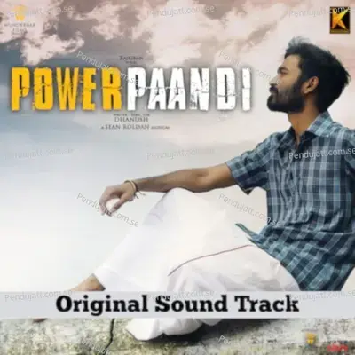 The Salsa Of Power Paandi - Sean Roldan album cover 