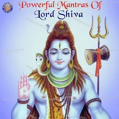 Powerful Mantras Of Lord Shiva - Various Artists cover album
