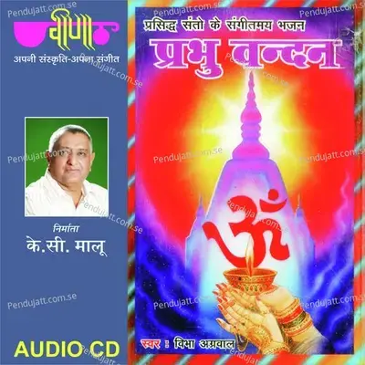 Tu Dayal Deen Hon - Vibha Agarwal album cover 