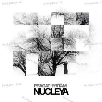 Pragat Pritam - Nucleya album cover 