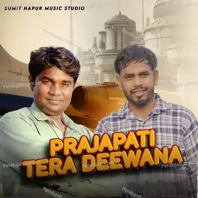 Prajapati Tera Deewana - Lokesh Prjapati album cover 