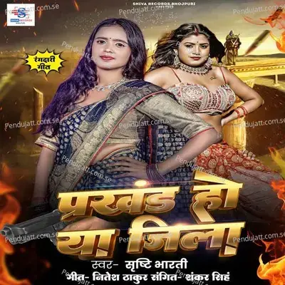 Prakhand Ho Ya Jila - Srishti Bharti album cover 