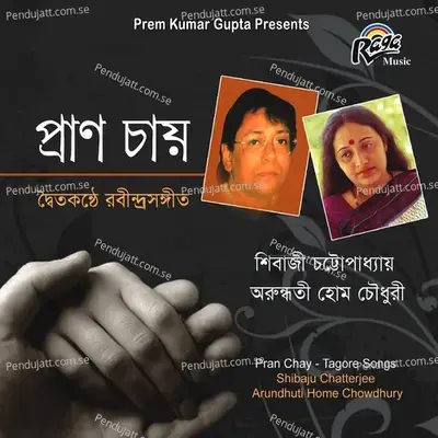 Dariyeachho Tumi Aamar Gaaner Opare - Shibaji Chatterjee album cover 