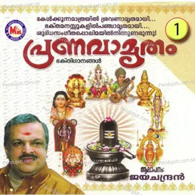 Thinkalkkala - Raju Raj album cover 