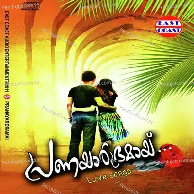 Peythozhiyathe - Najeem Arshad album cover 