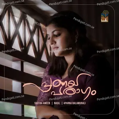 Naam Thammil F - Aparna Balamurali album cover 