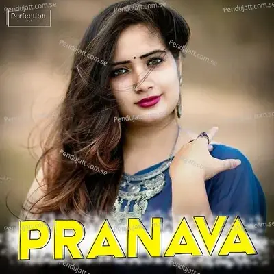 Pranva - Neeraj Shridhar album cover 