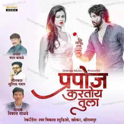 Prapose Kartoy Tula - Vikas Salve album cover 