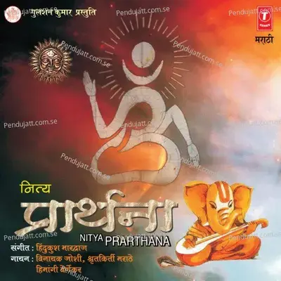 Swami Jai Jaikar - Vinayak Joshi album cover 