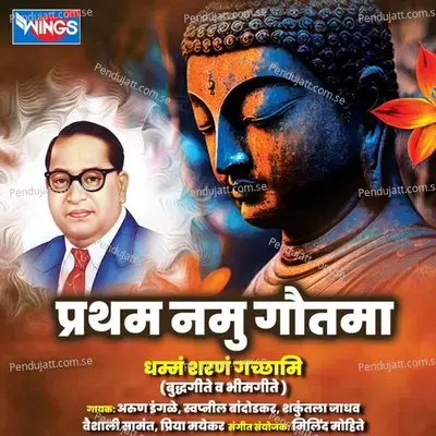 Bheema Tuzya Janma Mule - Arun Ingle album cover 