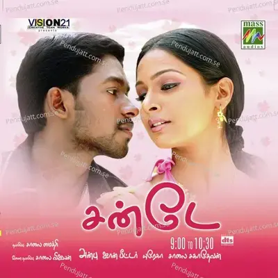 Nallathore Veenai - Narayanan album cover 