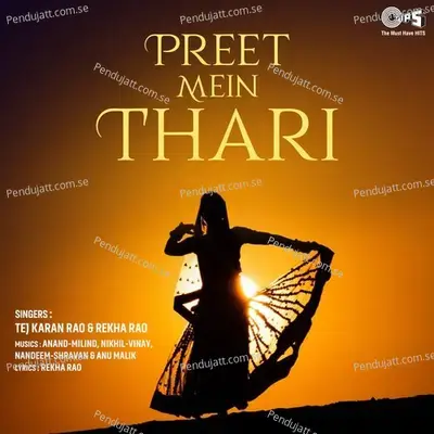 Preet Mein Thari - Anand-Milind cover album