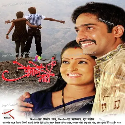 Ubdar Bandha Jawanicha Masala - Sujata Patwa album cover 