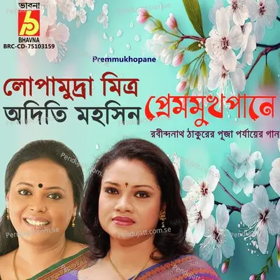 Shudhu Tomar Bani - Adity Mohsin album cover 